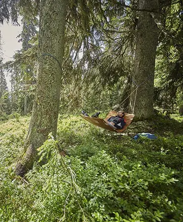 Waldwellness (c) saalbach.com, Daniel Roos (21) 1200x800